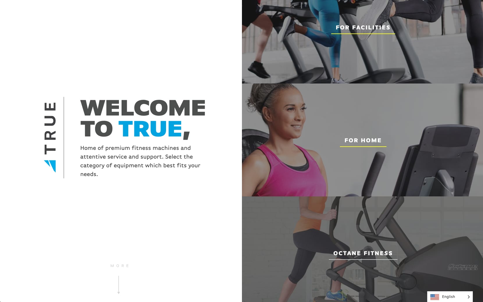 Previous TRUE Fitness homepage with a Welcome to TRUE message and category tiles.